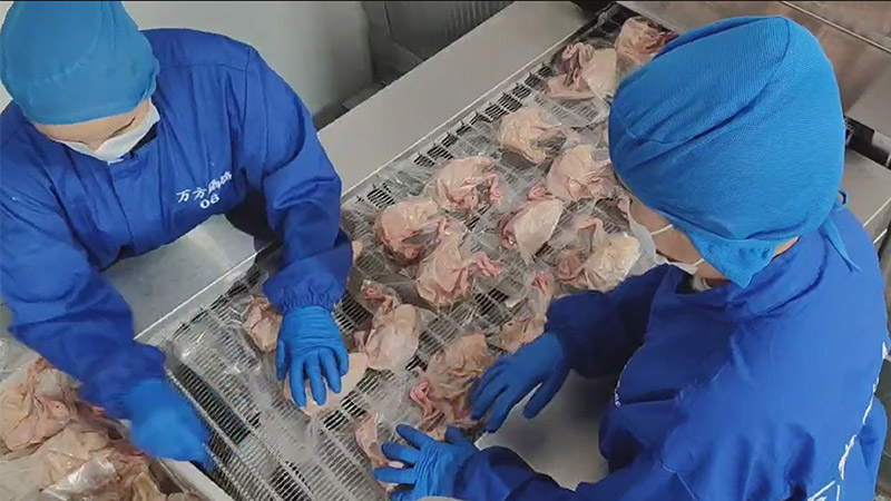 Быстрозаморозильные машины DTS freezer обеспечивают сохранность свежести голубиной продукции при переработке для предприятий птицеводства.